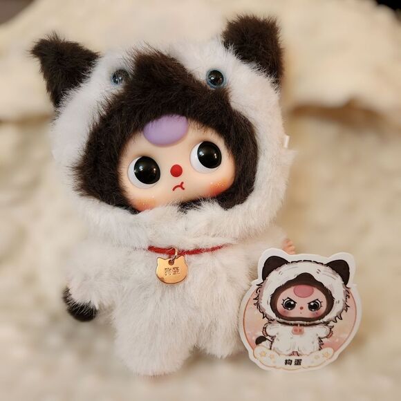 New! Baby three Whose Cat is This? - Precious Black & White Kitten - Picture 1 of 1
